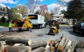 Best Arborist Consultation Services  in Zanesville, OH